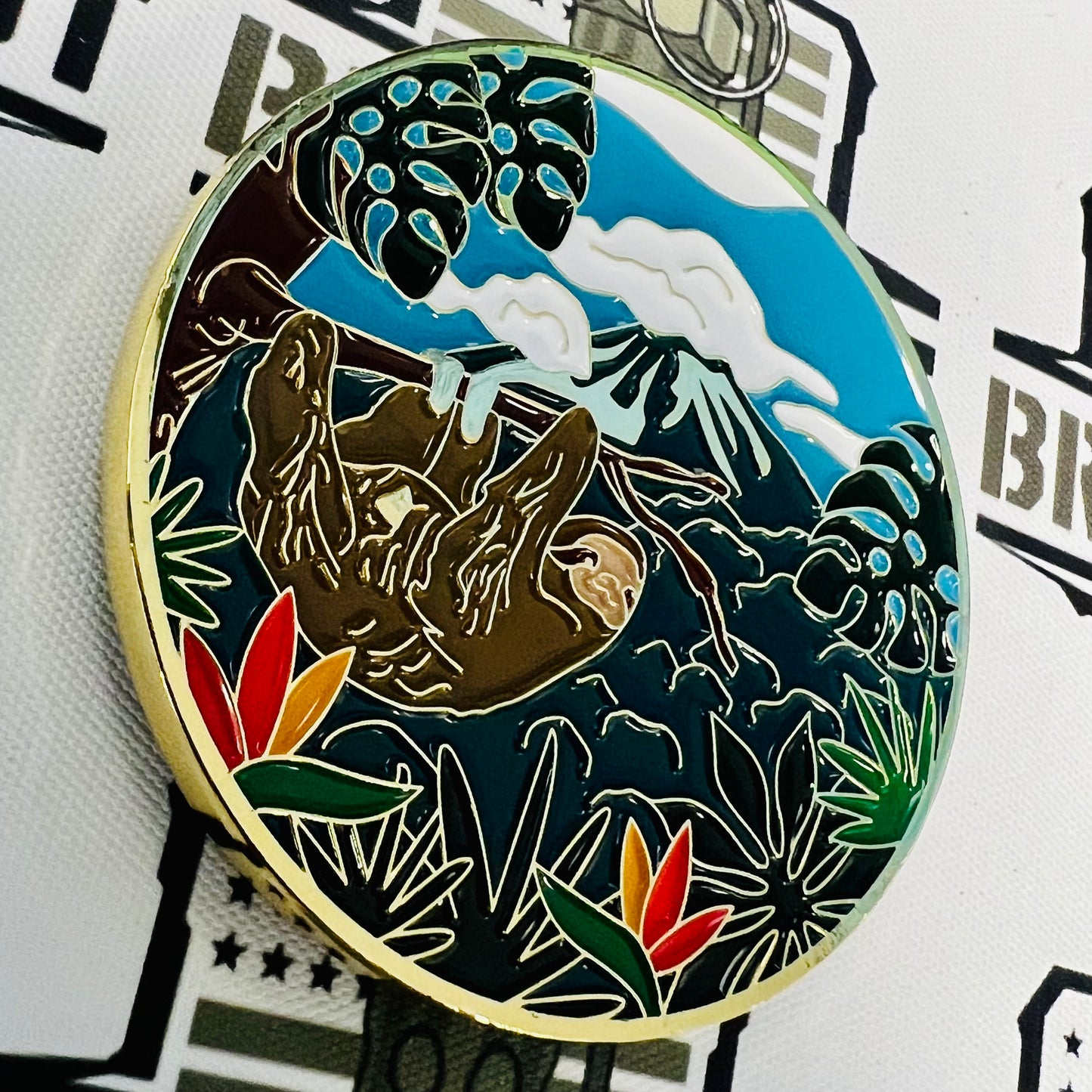 U.S. Embassy Costa Rica Challenge Coin